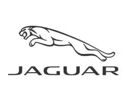 Jaguar.jpg